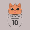 Cat Shoyo Hinata Tote Official Haikyuu Merch